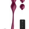 Satisfyer love birds boules de geisha vibrantes