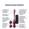 Satisfyer love birds boules de geisha vibrantes