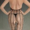 Bodystocking