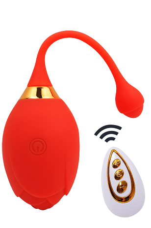 Œuf Vibrant Télécommandé